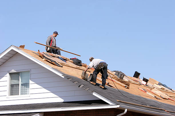 Best Hot Roofs  in Medford, MN
